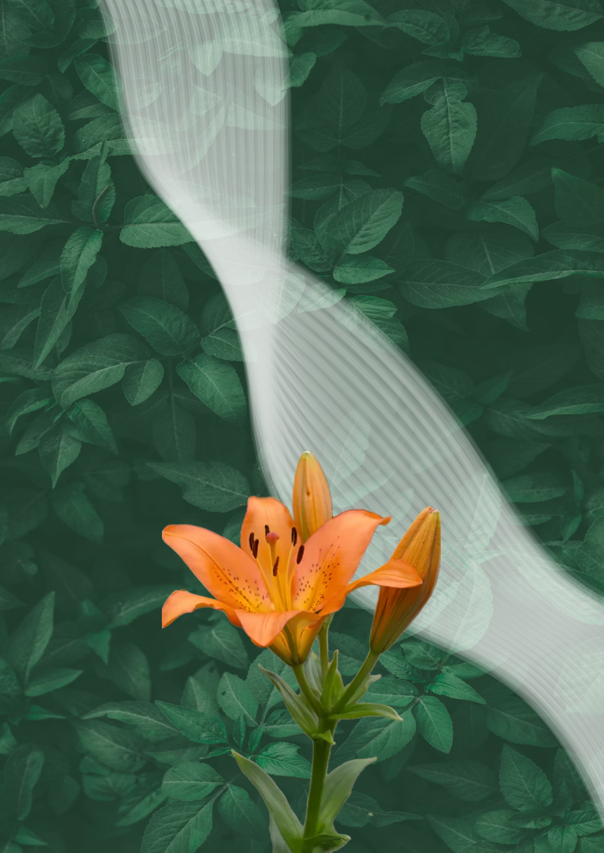 Poster 8
